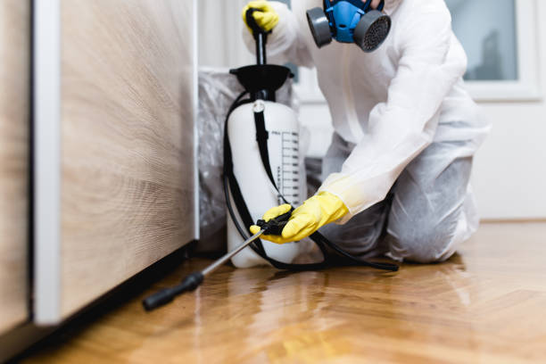 Best Rat Extermination Near Me  in Augusta, WI