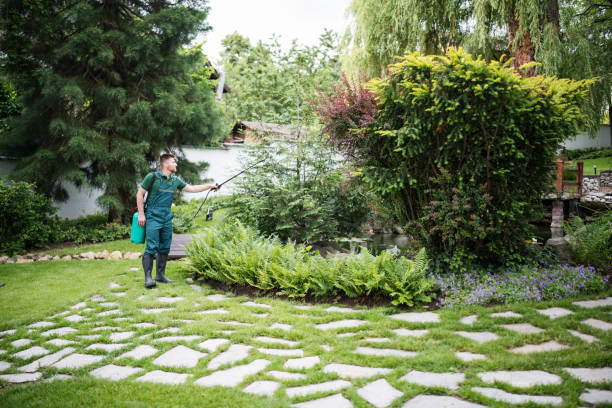 Best Exterminator Services  in Augusta, WI