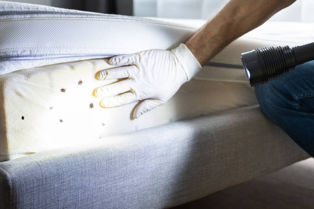 Best Affordable Pest Control Services  in Augusta, WI