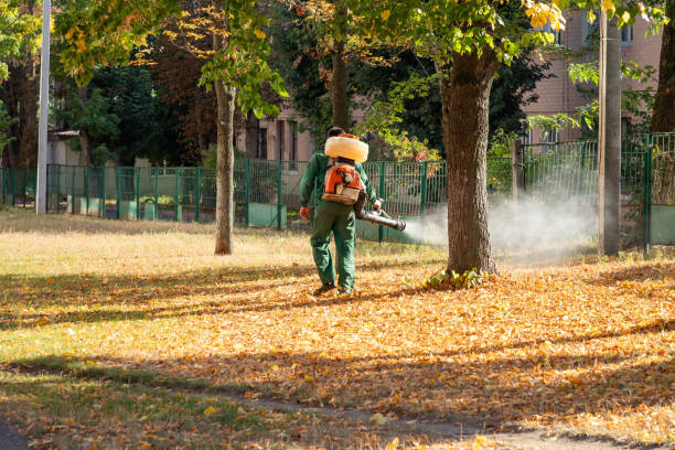 Best Pest Inspection Near Me  in Augusta, WI