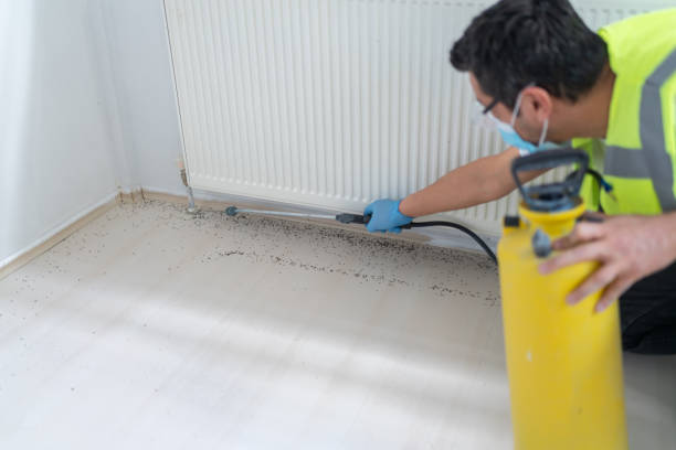 Professional Pest Control in Augusta, WI